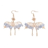 Natural Aquamarine Chips Dangle Earrings EJEW-S214-01D-1