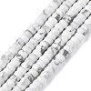 Natural Howlite Heishi Beads Strands G-A299-A08-01-3
