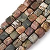 Natural Picasso Stone/Polychrome Jasper Beads Strands G-D098-D02-2