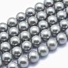 Shell Pearl Beads Strands BSHE-L026-05-8mm-2