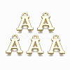 Alloy Charms LS-PALLOY-Q441-025A-NR-1