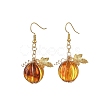 Transparent Acrylic 304 Stainless Steel Dangle Earrings EJEW-TA00828-3