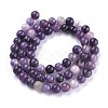 Natural Lepidolite/Purple Mica Stone Beads Strands G-K415-6mm-3