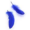 Goose Feather Costume Accessories FIND-Q044-07-2
