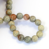 Natural Silver Leaf Jasper Round Bead Strands G-E334-8mm-04-3