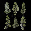 6Pcs Plant PET Adhesive Waterproof Stickers DIY-K074-01A-3