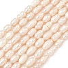 Natural Cultured Freshwater Pearl Beads Strands PEAR-D003-01D-16-2