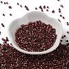 Baking Paint Glass Seed Beads X-SEED-S042-15A-19-2