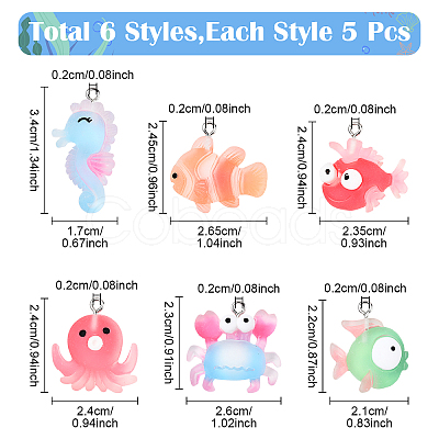 30Pcs 6 Styles Opaque Resin Pendants RESI-YW0003-50-1