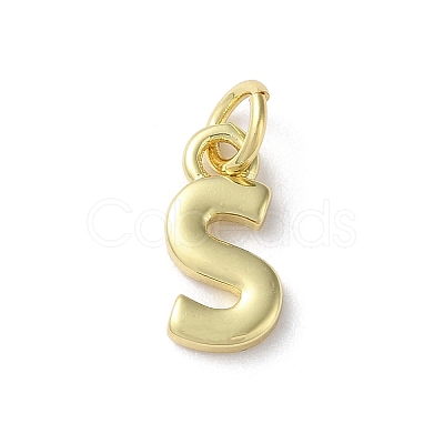 Rack Plating Brass Charms KK-P245-06G-S-1