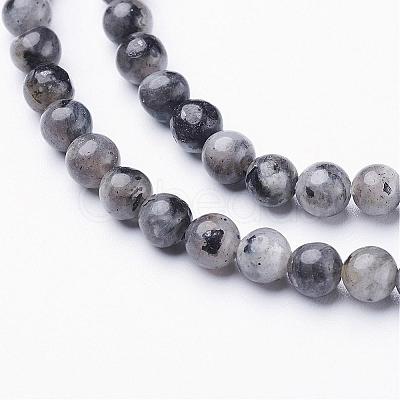 Natural Larvikite Beads Strands GSR4mmC128-1