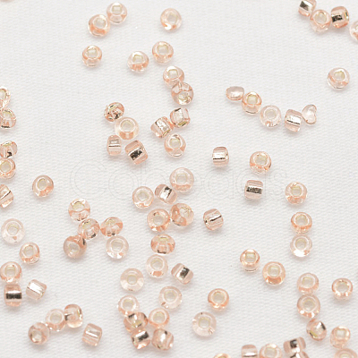 8/0 Round Glass Seed Beads SEED-J018-F8-72-1