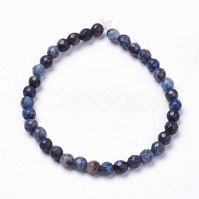 Natural Silver Leaf Jasper Beads Strands G-K181-6mm-O02-1