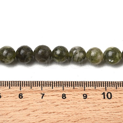 Natural Green Lepidolite Beads Strands G-K350-C01-8mm-1