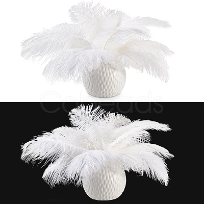 20Pcs 2 Styles Ostrich Feather Costume Accessories FIND-TA0005-96-1