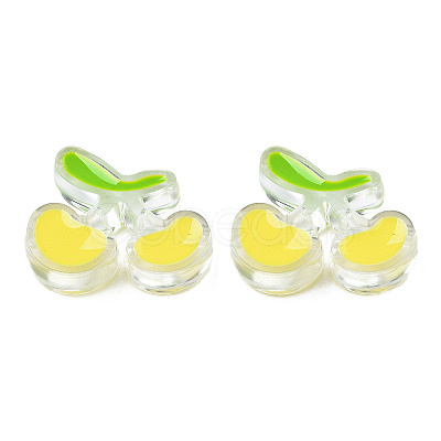 Transparent Acrylic Enamel Beads LS-TACR-N012-006G-1