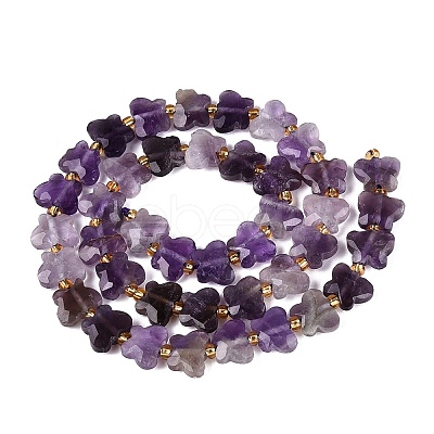 Natural Amethyst Beads Strands G-N371-10A-04-1