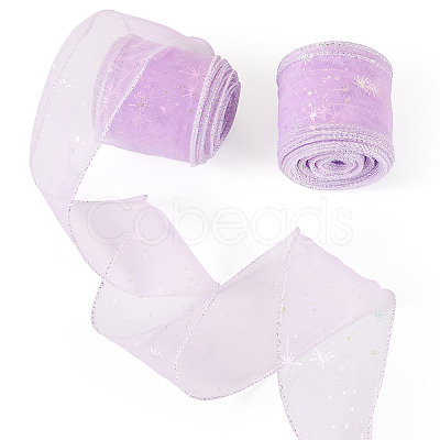 Polyester Deco Mesh Ribbons OCOR-TAC0024-004B-1