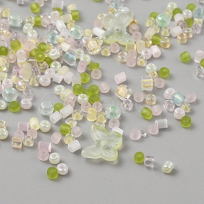 Glass Seed Beads SEED-WH0007-06E-1