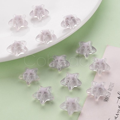 Transparent Acrylic Beads TACR-S152-11A-06-1