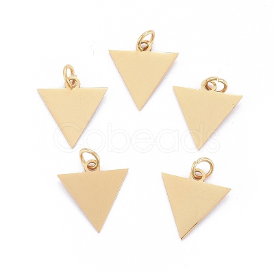 Ion Plating(IP) 304 Stainless Steel Pendants STAS-I311-22G-1
