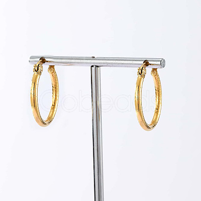 304 Sainless Steel Hoop Earrings for Women AL6869-1