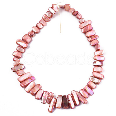 Natural Freshwater Shell Beads Strands X-SHEL-N026-123C-1