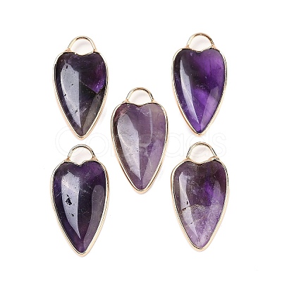 Natural Amethyst Pendants G-G193-02G-04-1