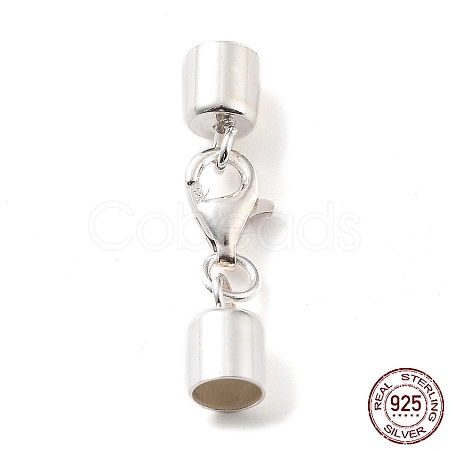 925 Sterling Silver Lobster Claw Clasps STER-P055-03G-S-1