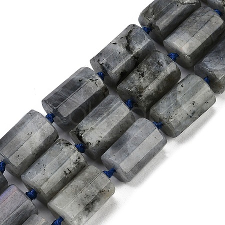 Natural Labradorite Beads Strands G-G162-D13-02-1