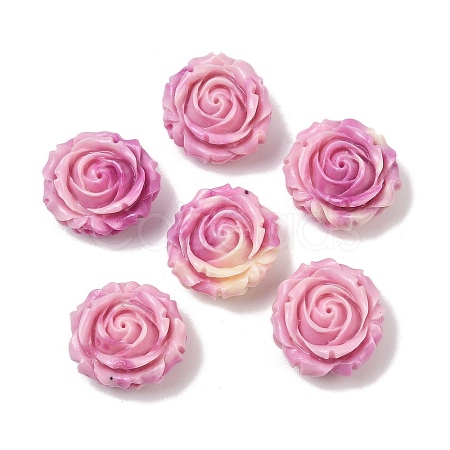 Synthetic Shell Dyed Carved Beads SHEL-U001-06-1
