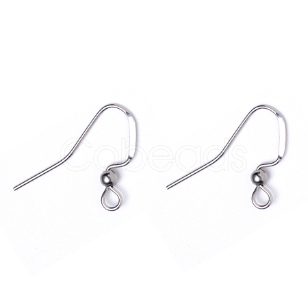 Tarnish Resistant 304 Stainless Steel French Earring Hooks STAS-Q229-02-1