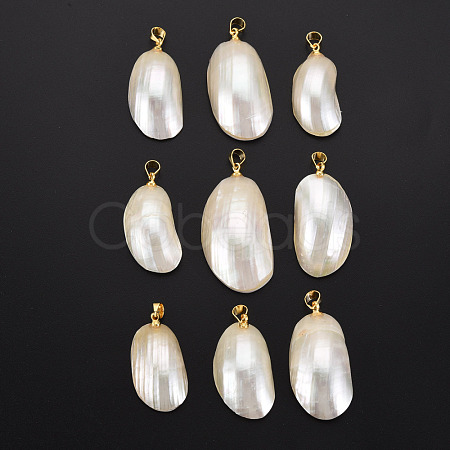 Shell Pendants SSHEL-T014-48A-1