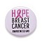 Breast Cancer Awareness Month Tinplate Brooch Pin, Pink Flat Round Badge for Clothing Bags Jackets, Platinum, Word, 44x7mm