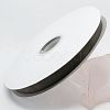 Polyester Organza Ribbon ORIB-L001-04-017-1