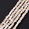 Handmade Millefiori Glass Bead Strands LAMP-J035-4mm-73-2