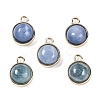 Natural Kyanite Pendants G-K372-03G-07-1