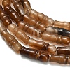 Natural Agate Beads Strands G-Z144-A02-01A-4