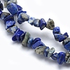 Natural Lapis Lazuli Beads Strands G-P332-12-2