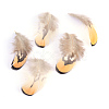 Chicken Feather Costume Accessories X-FIND-Q047-01-1