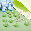 12Pcs Handmade Lampwork Pendants LAMP-CA0001-13A-5