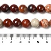 Natural Red Snakeskin Jasper Beads Strands G-H298-A02-04-5