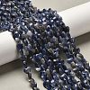 Natural Sodalite Beads Strands G-P575-C15-6mm-1