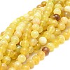 Natural Yellow Opal Beads Strands G-F674-07A-8mm-1