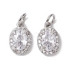 Brass Micro Pave Clear Cubic Zirconia Charms KK-K360-17P-1