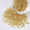 8/0 Two Cut Glass Seed Beads SEED-S033-11A-01-1