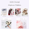 Organza Ribbon RS6mmY040-7