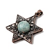 Natural Amazonite Pendants G-A297-06R-18-2
