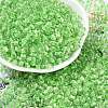Transparent Inside Colours Glass Seed Beads X1-SEED-A032-04C-1
