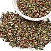 Natural Unakite Chip Beads G-O103-14-3